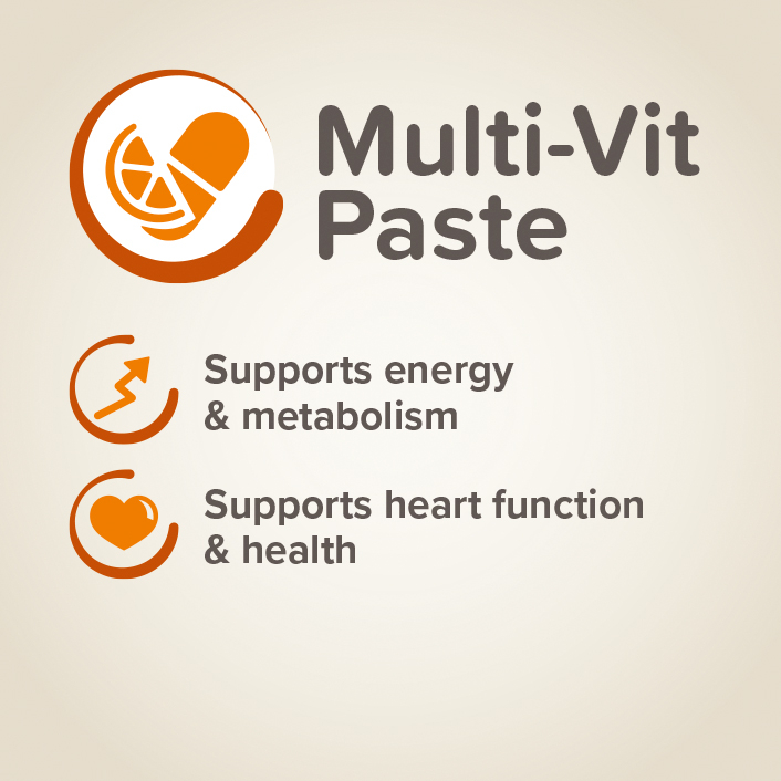 MULTI VIT PASTE DOG 100G - pasta multiwitaminowa dla psów