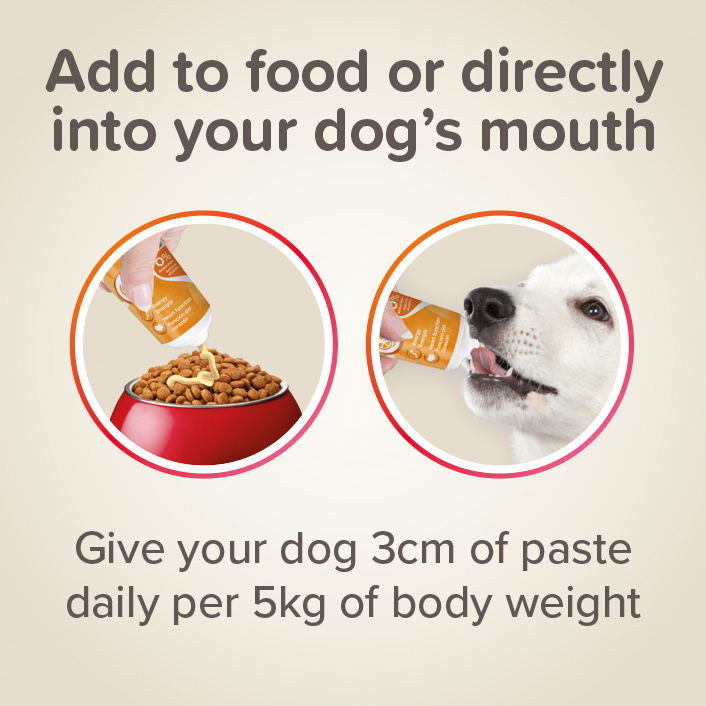 MULTI VIT PASTE DOG 100G - pasta multiwitaminowa dla psów