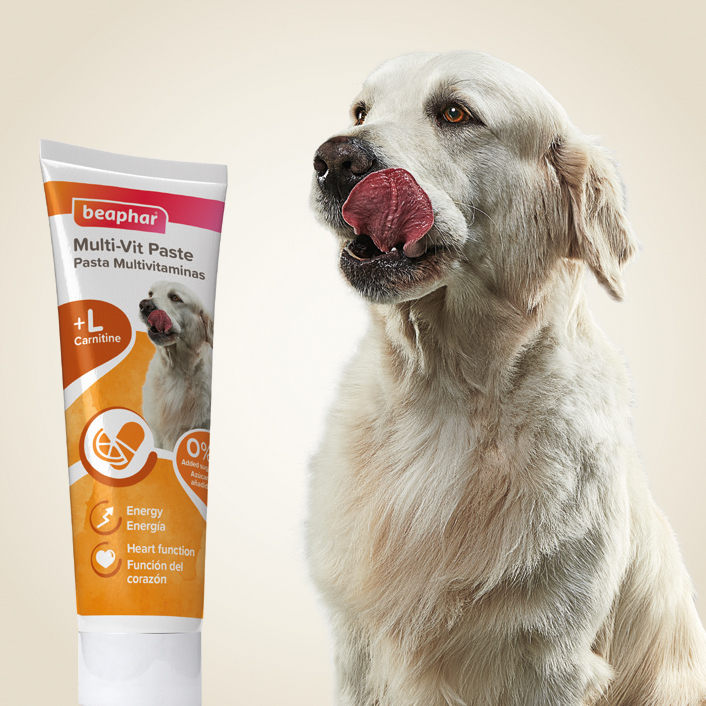 MULTI VIT PASTE DOG 100G - pasta multiwitaminowa dla psów